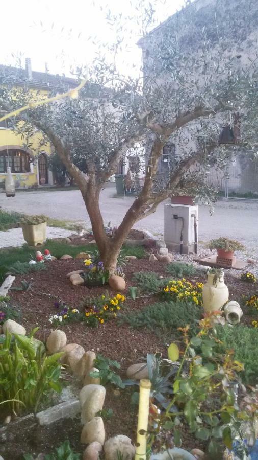 B&B Peschi In Fiore Valeggio sul Mincio Luaran gambar